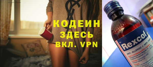 мет Корсаков
