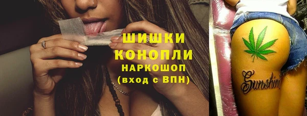 гашик Коряжма