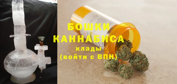 гашик Коряжма