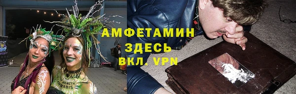 гашик Коряжма