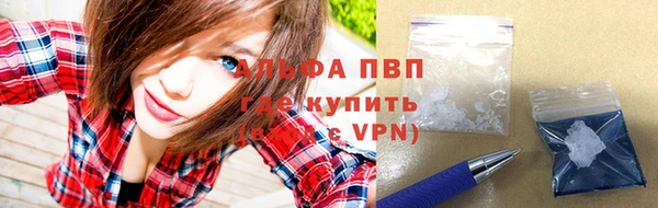 гашик Коряжма