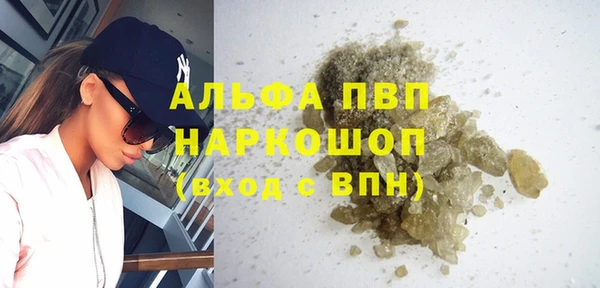 гашик Коряжма