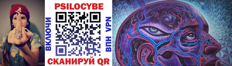 Купить  Биробиджан  Псилоцибиновые грибы Psilocybe 